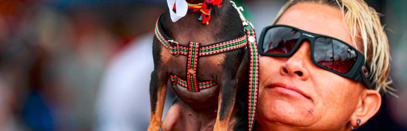 /FOTO: MANUEL SALDARRIAGA