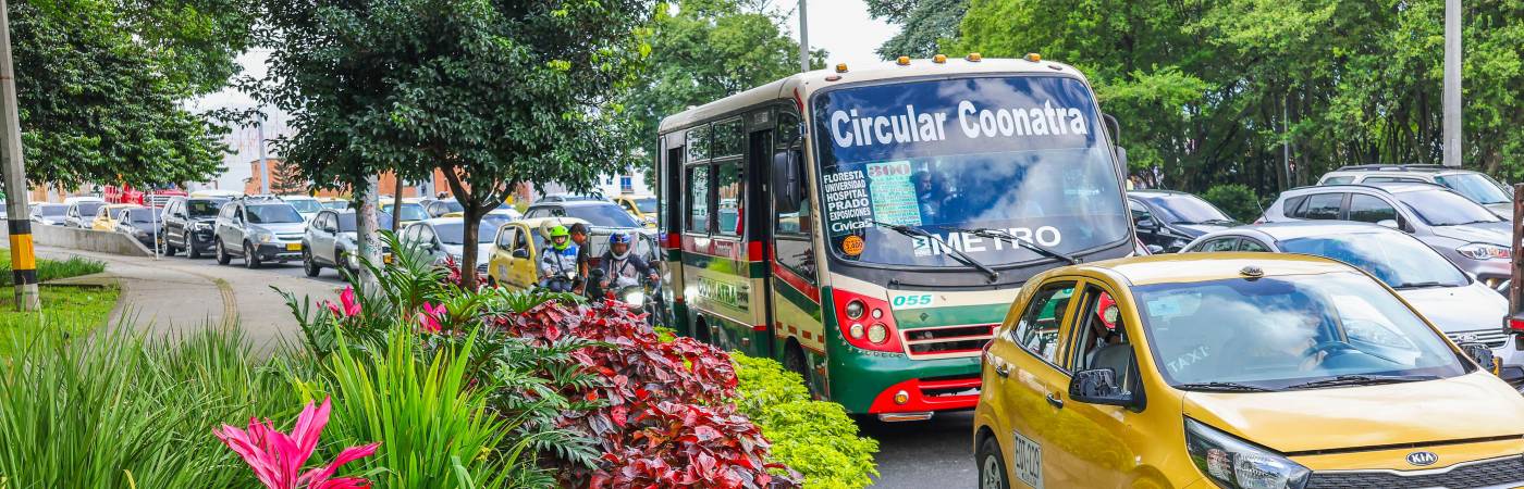 Recuperación de jardines en las vías de Medellín. FOTO: CORTESÍA