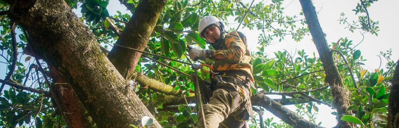/ FOTO: CORTESÍA ALCALDÍA DE MEDELLÍN