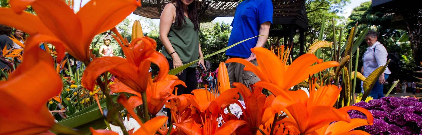 ¿Qué hay para hacer hoy martes 4 de agosto en la Feria de Flores 2026?
