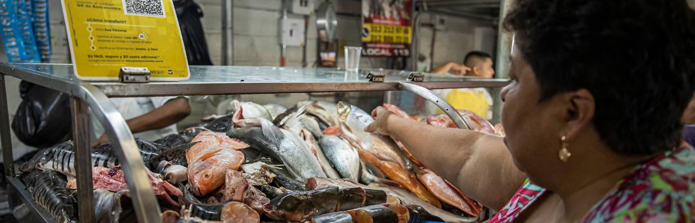 /FOTO: CARLOS ALBERTO VELÁSQUEZ PIEDRAHITA 