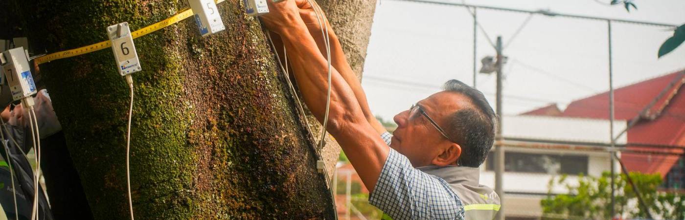 / FOTO: CORTESÍA ALCALDÍA DE MEDELLÍN