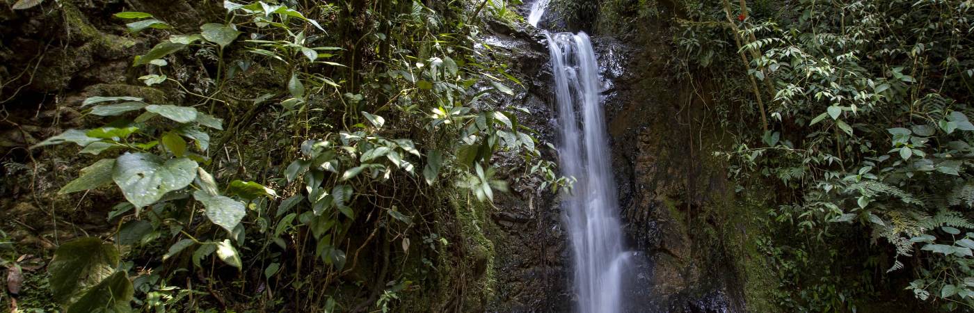 Reserva natural El Romeral en la Estrella Antioquia. FOTO: EDWIN BUSTAMANTE RESTREPO - ARCHIVO