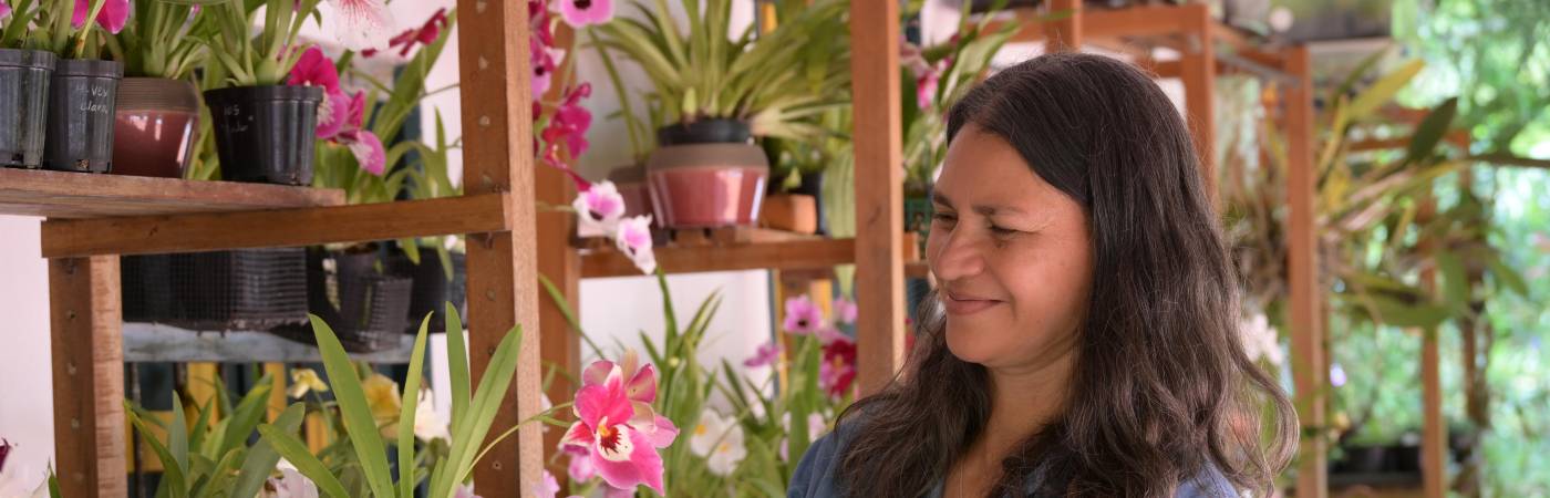 A estas plantas se les aplica la técnica in vitro para su mayorreproducción y belleza. / FOTO: ALCALDÍA DE MEDELLÍN