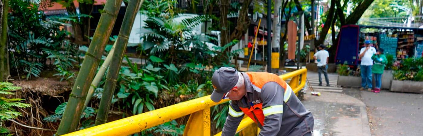 Las tareas de limpieza de Medellín han generado más de 480 empleos y se han intervenido 700 puntos de distintas zonas. FOTO: CORTESÍA