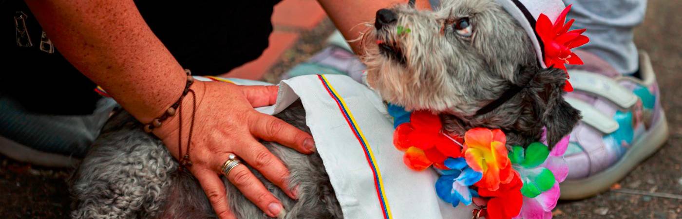 /FOTO: MANUEL SALDARRIAGA