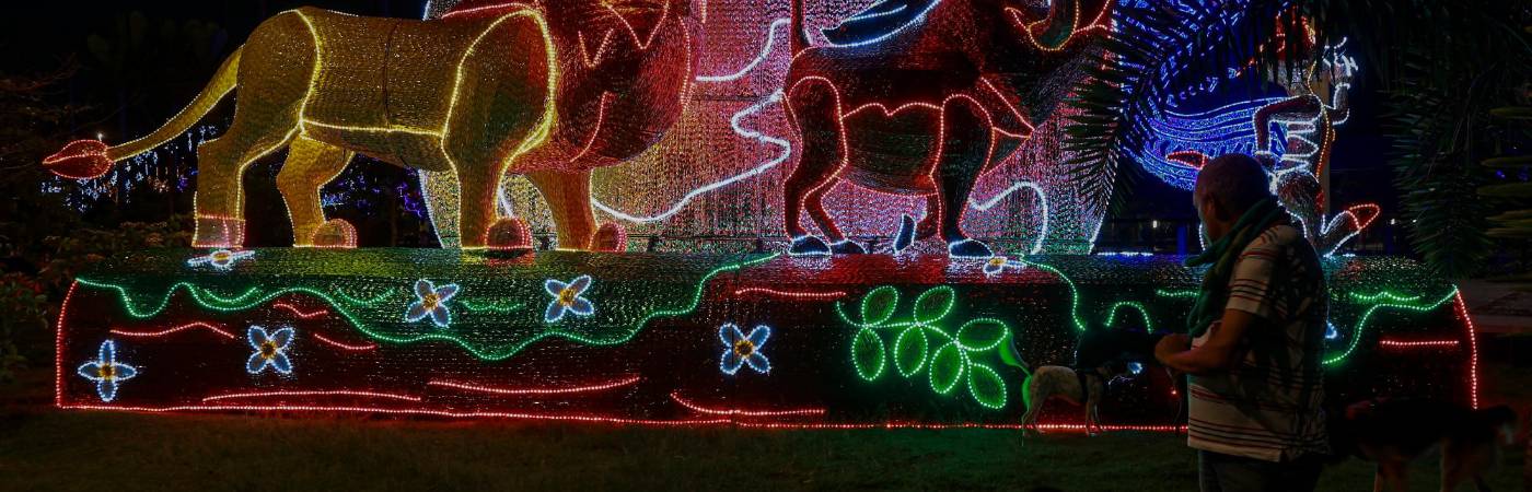 /FOTO: MANUEL SALDARRIAGA QUINTERO