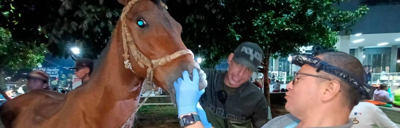 /FOTO: CORTESÍA POLICÍA 