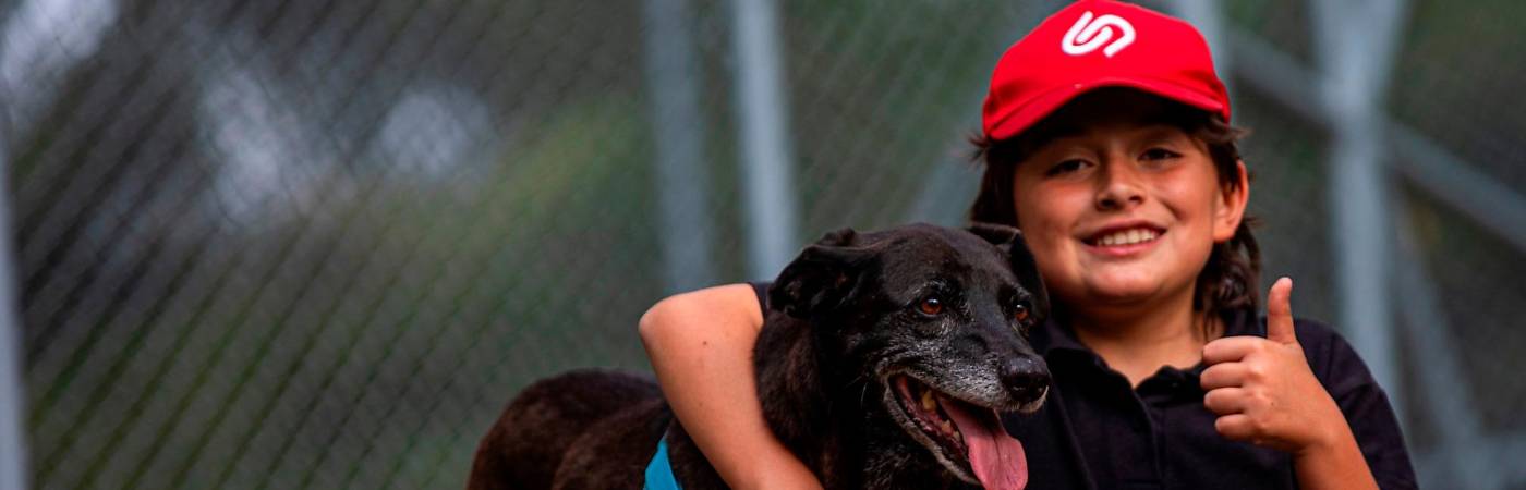 La conmovedora historia de una perra adoptada después de 10 años en un centro animal