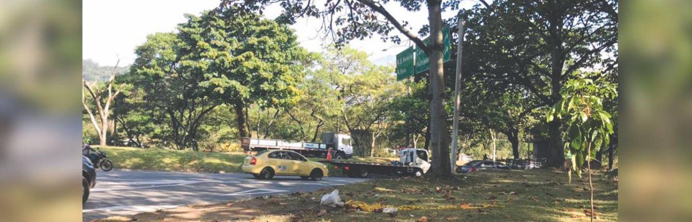 En esta zona verde de la oreja, que comunica la calle Barranquilla con la avenida Regional, fue donde encontraron el cuerpo del joven asesinado. FOTO: LAURA ROSA JIMÉNEZ VALENCIA