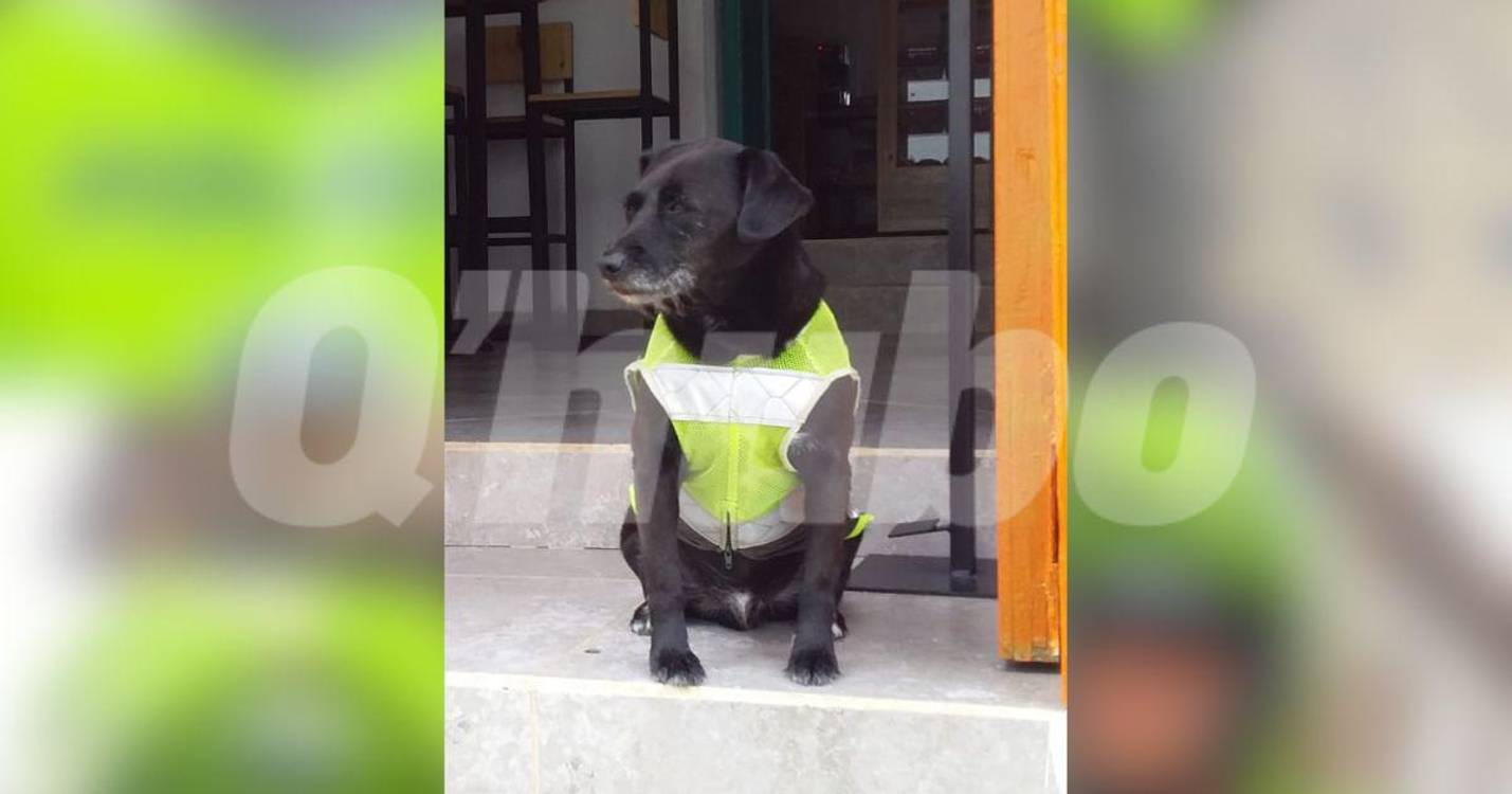 Barbas con su chaleco de policía. FOTO: CORTESÍA