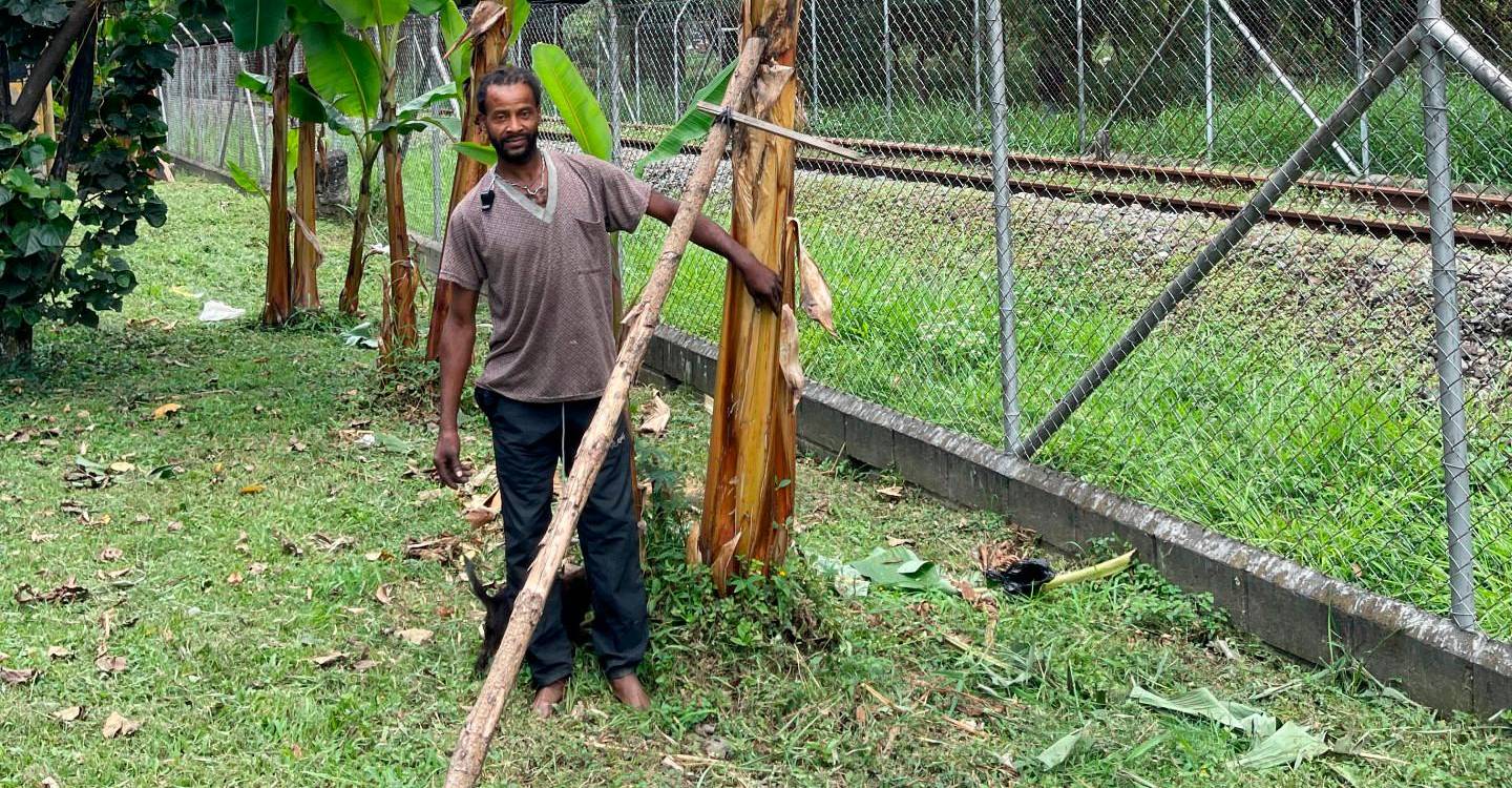Wilmar habla con sus plantas y les brinda apoyo, como en este caso, para evitar que el peso del racimo las incline.