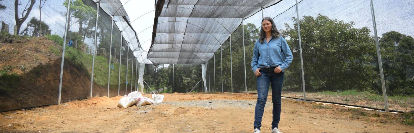 “Cultivábamos las plantas en el solar de la casa de la mamá de mi esposo, pero cuando la colección fue creciendo, nos tocó salir a buscar otro lugar”, Giselly Estrada. / FOTO: ALCALDÍA DE MEDELLÍN