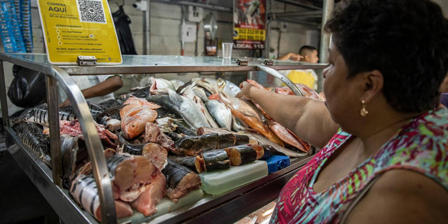 /FOTO: CARLOS ALBERTO VELÁSQUEZ PIEDRAHITA