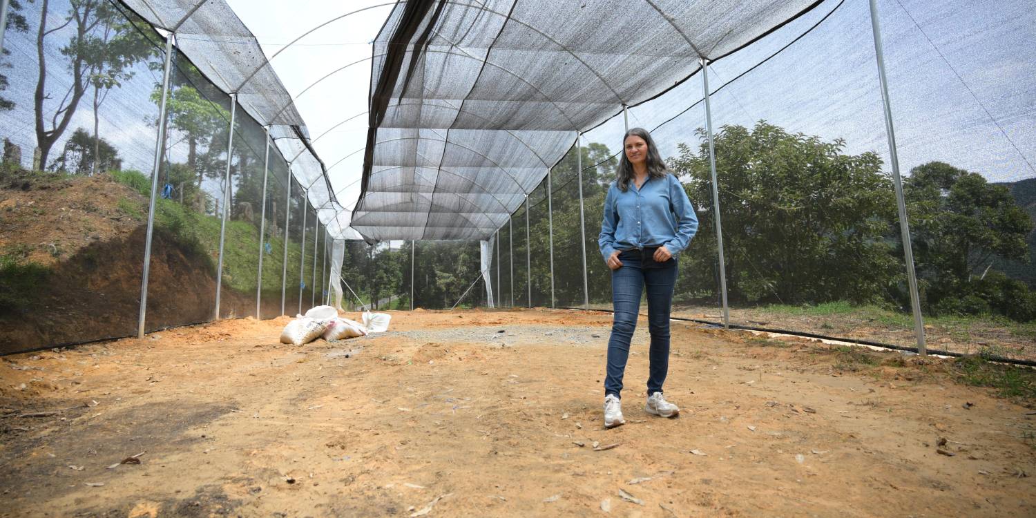 “Cultivábamos las plantas en el solar de la casa de la mamá de mi esposo, pero cuando la colección fue creciendo, nos tocó salir a buscar otro lugar”, Giselly Estrada. <b><span class=mln_small-caps_mln>/ FOTO: ALCALDÍA DE MEDELLÍN</span></b>