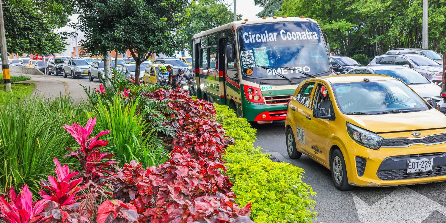 Recuperación de jardines en las vías de Medellín. FOTO: CORTESÍA