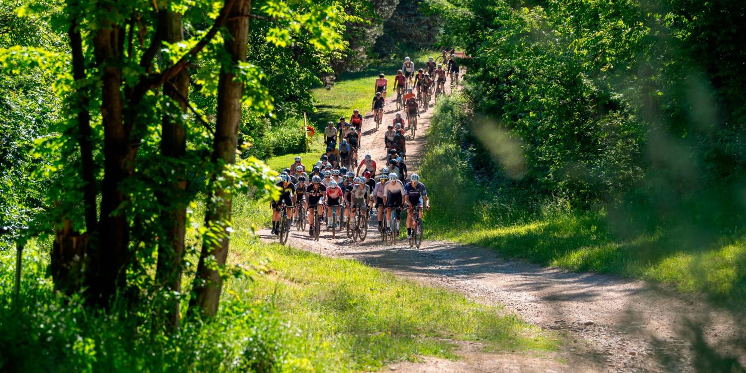 / FOTO: CORTESÍA FUNDACIÓN ESTEBAN CHAVES.