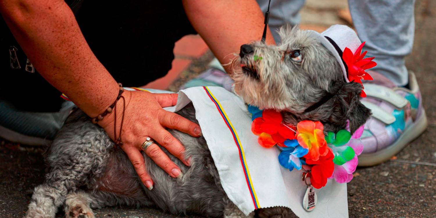 /FOTO: MANUEL SALDARRIAGA