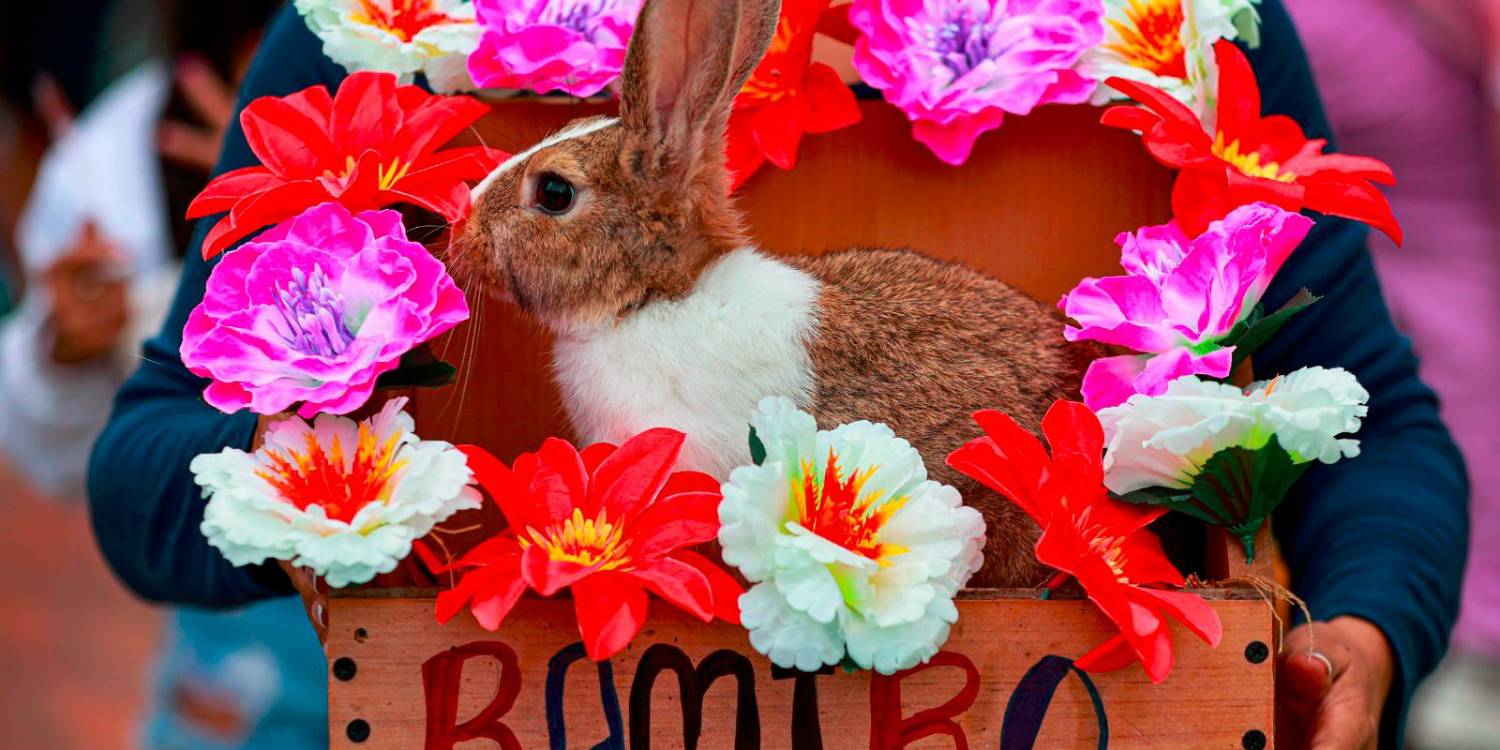 /FOTO: MANUEL SALDARRIAGA