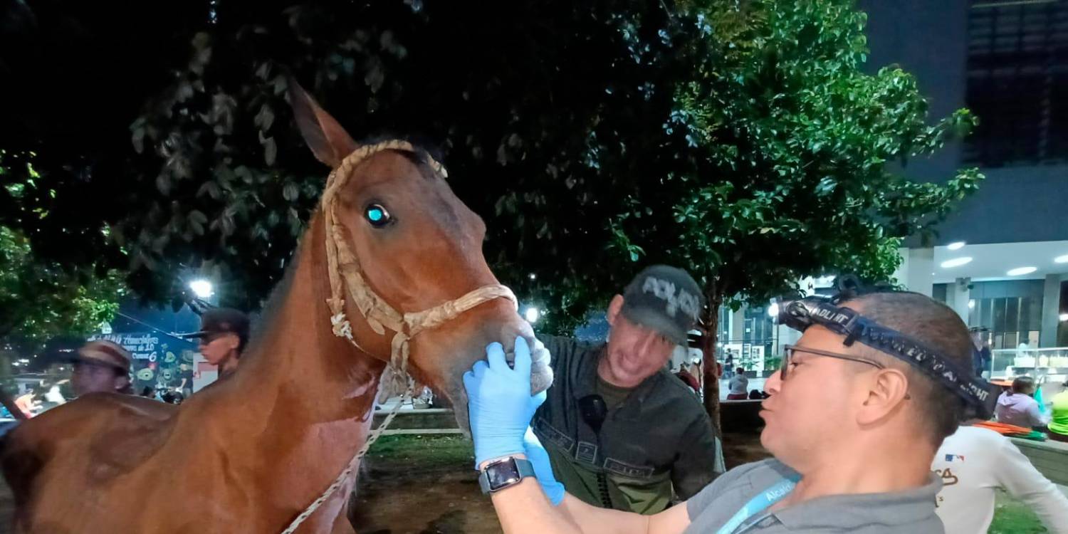 /FOTO: CORTESÍA POLICÍA