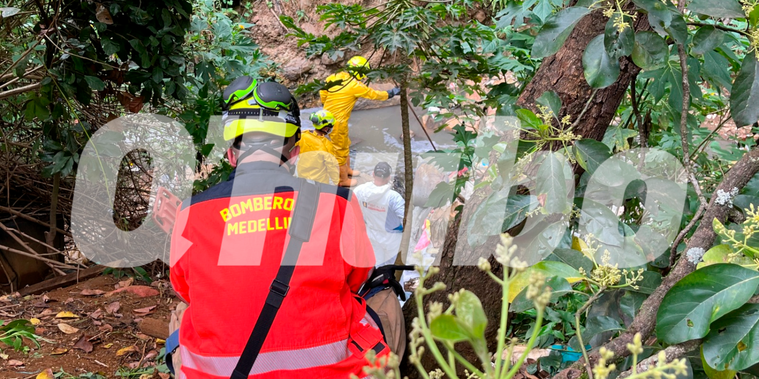 El olor del cuerpo en descomposición atrajo gallinazos /FOTO: ANDRÉS FELIPE OSORIO GARCÍA