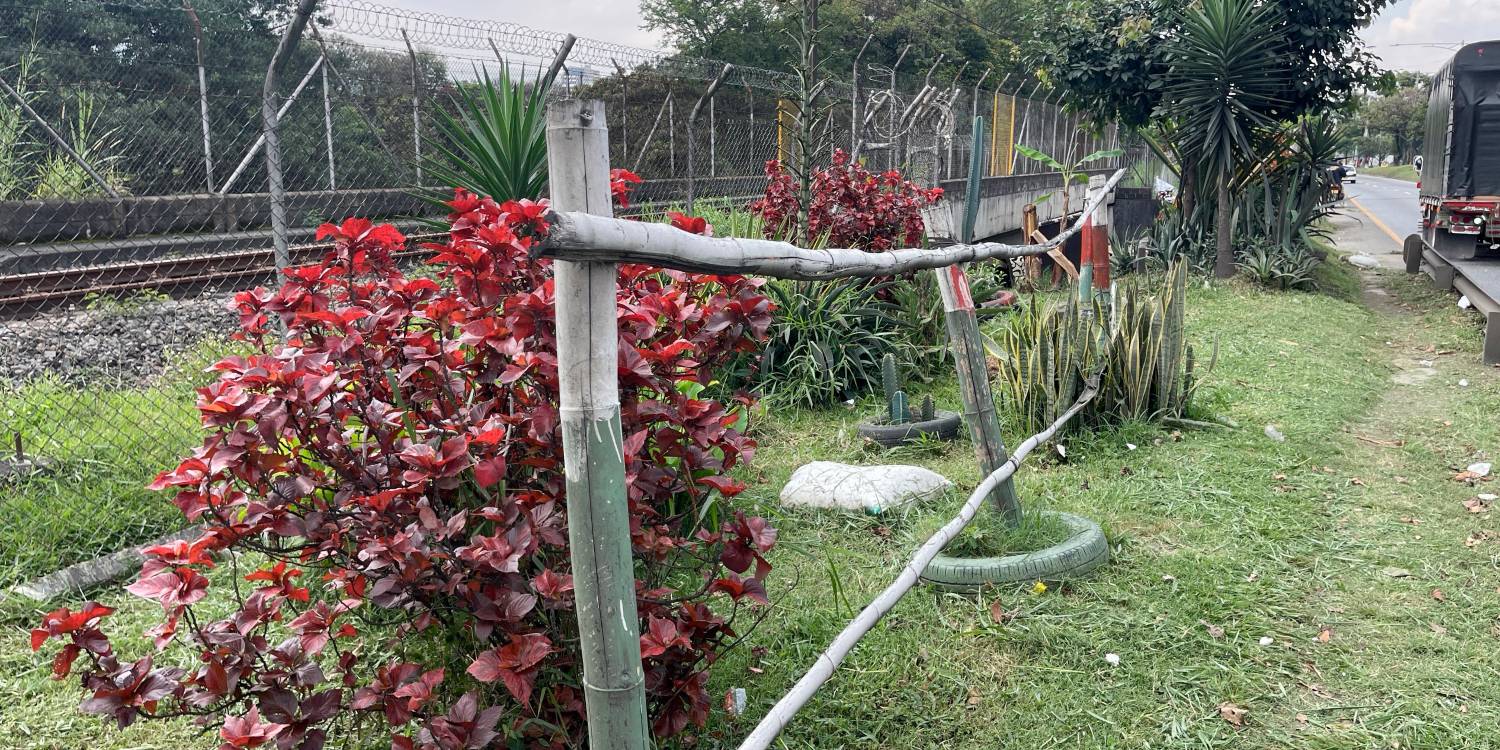 EN IMÁGENES: Una platanera da cosecha al lado de la Autopista