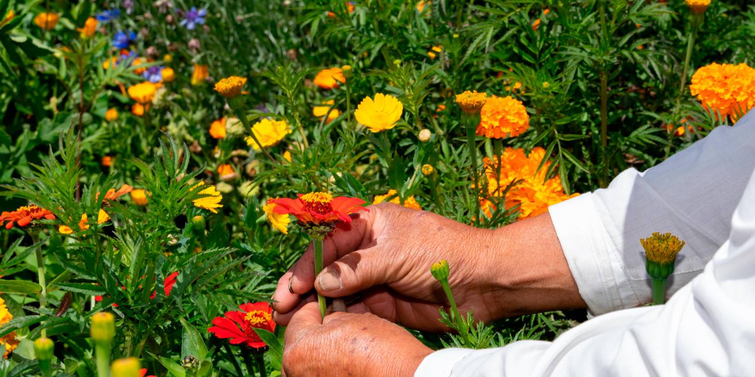 Corregimiento de Santa Elena. / FOTO: ARCHIVO