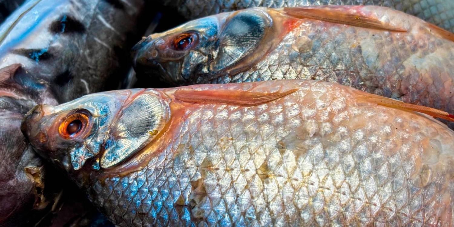 También se debe verificar que el empaque no esté adulterado. / FOTO: CORTESÍA