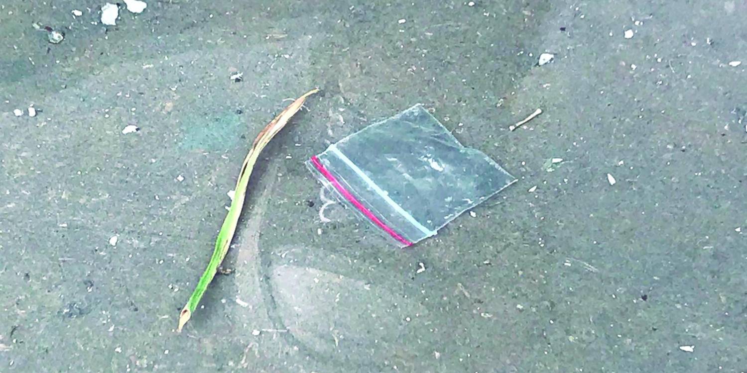 FOTO: LAURA ROSA JIMÉNEZ