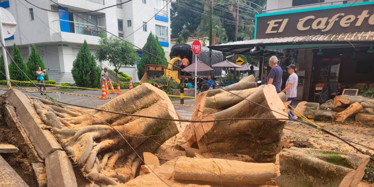 $!FOTOS: CORTESÍA DONALDO ZULUAGA