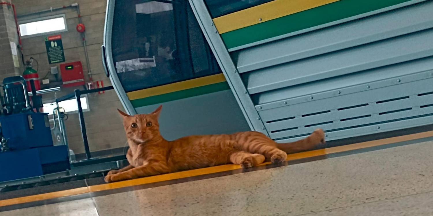 $!Las personas van a la estación para conocer al empleado más famoso de la zona. /FOTO: METRO DE MEDELLÍN