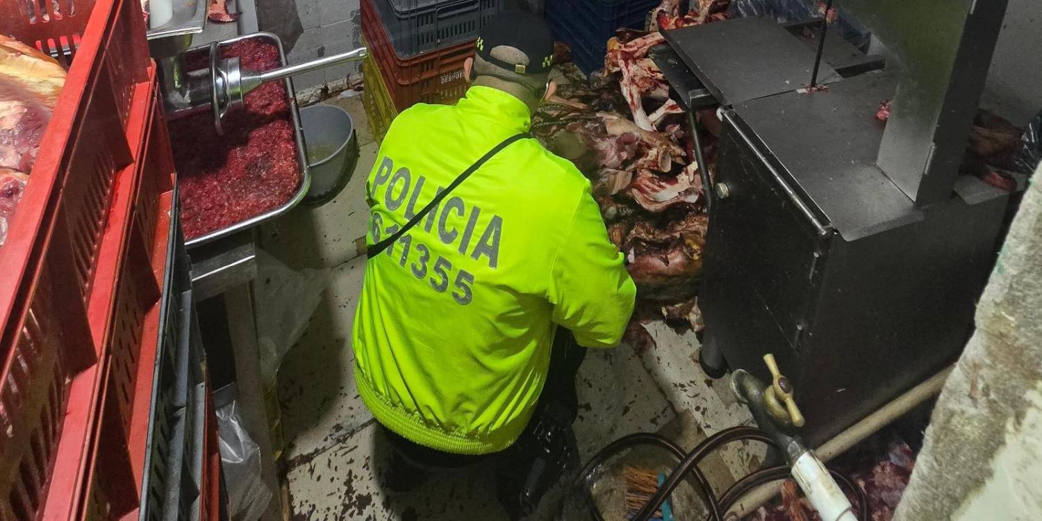 <span class=mln_uppercase_mln>Así</span><b><span class=mln_uppercase_mln> se encontraba el lugar de desposte clandestino. FOTO: CORTESÍA SECRETARÍA DE SEGURIDAD DE MEDELLÍN </span></b>