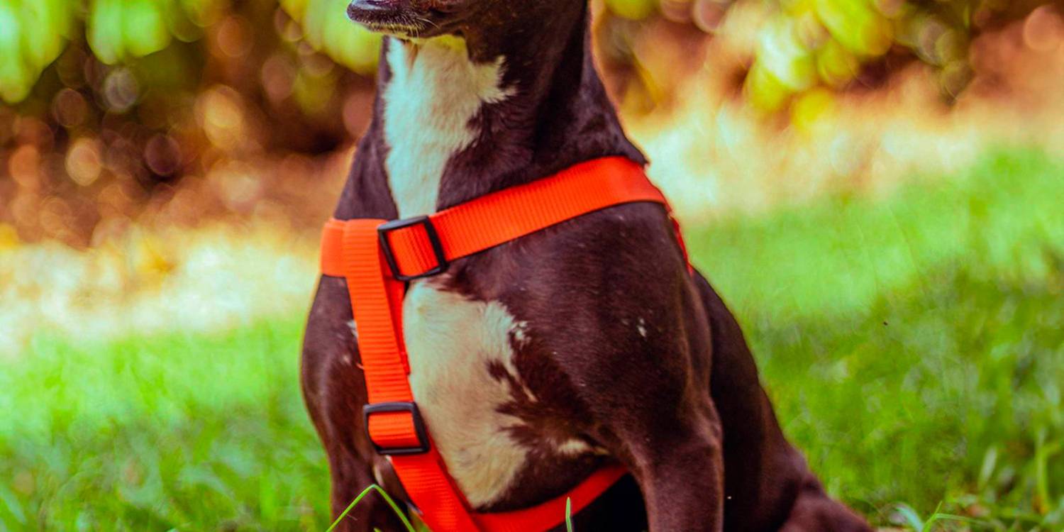 /FOTO: CORTESÍA ALCALDÍA DE MEDELLÍN