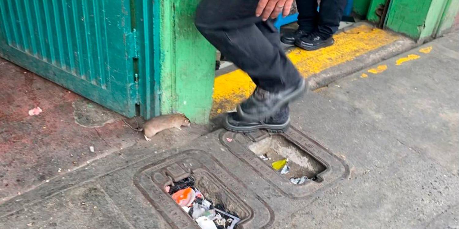 / FOTO: CORTESÍA ALCALDÍA.