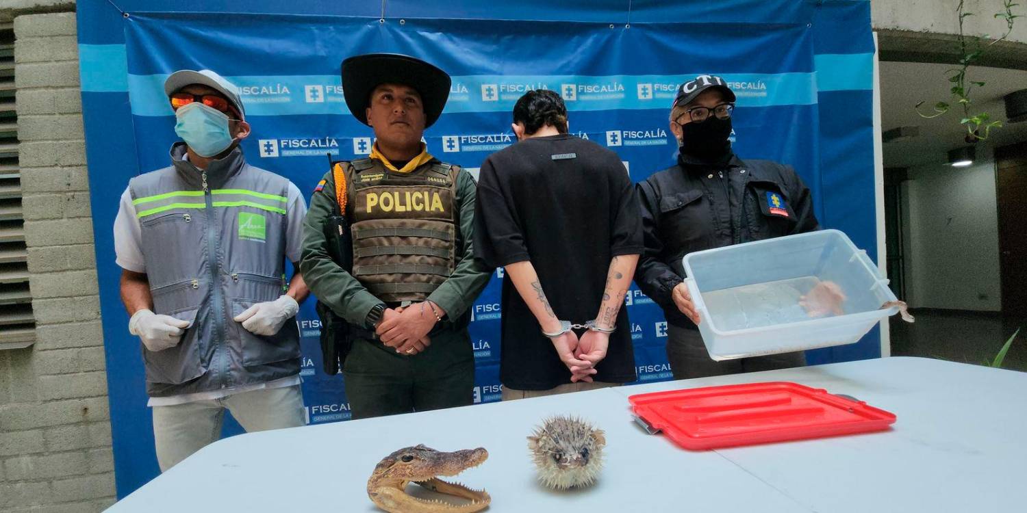 En la imagen, los otros elementos que le incautaron. /FOTO: CORTESÍA