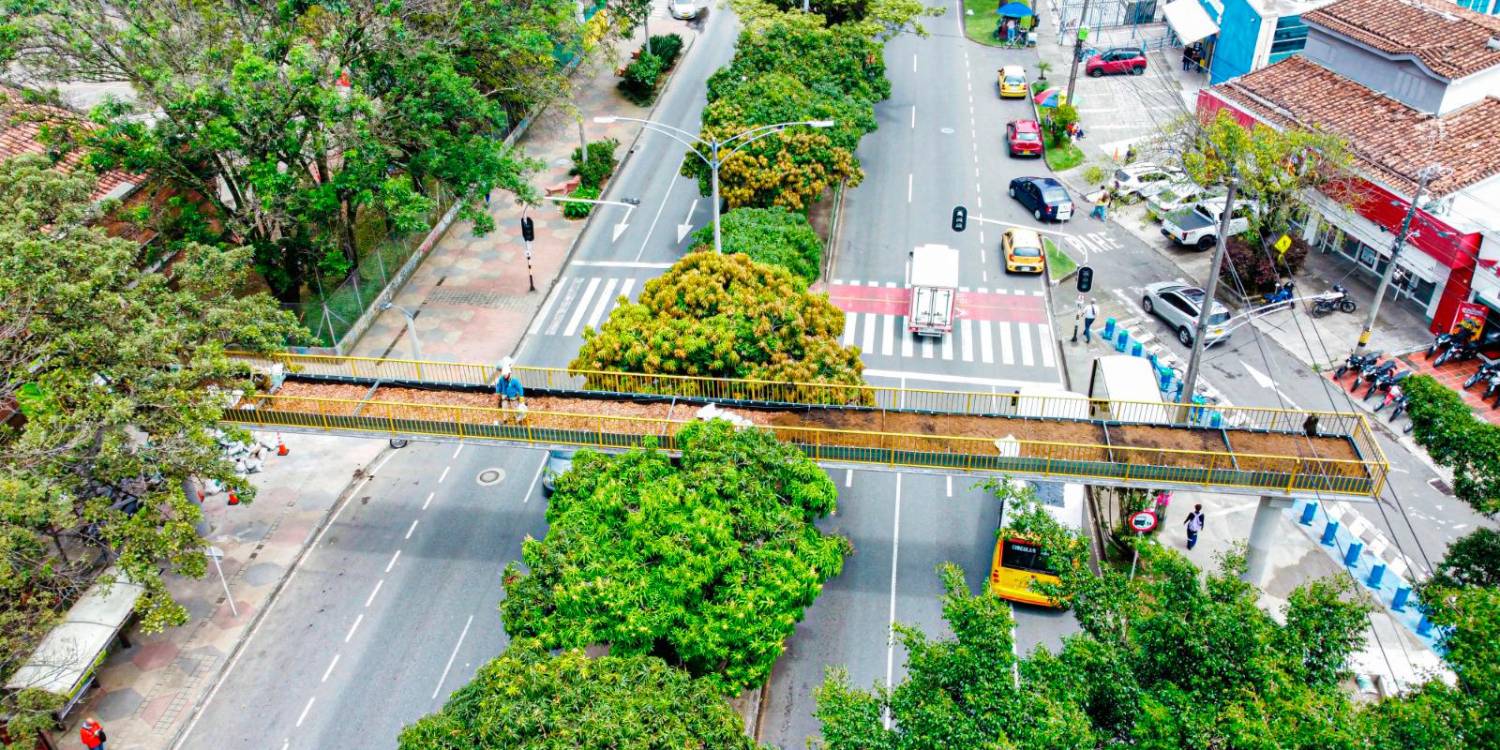 EN IMÁGENES: Medellín reciclará puentes para convertirlos en hogar de fauna silvestre