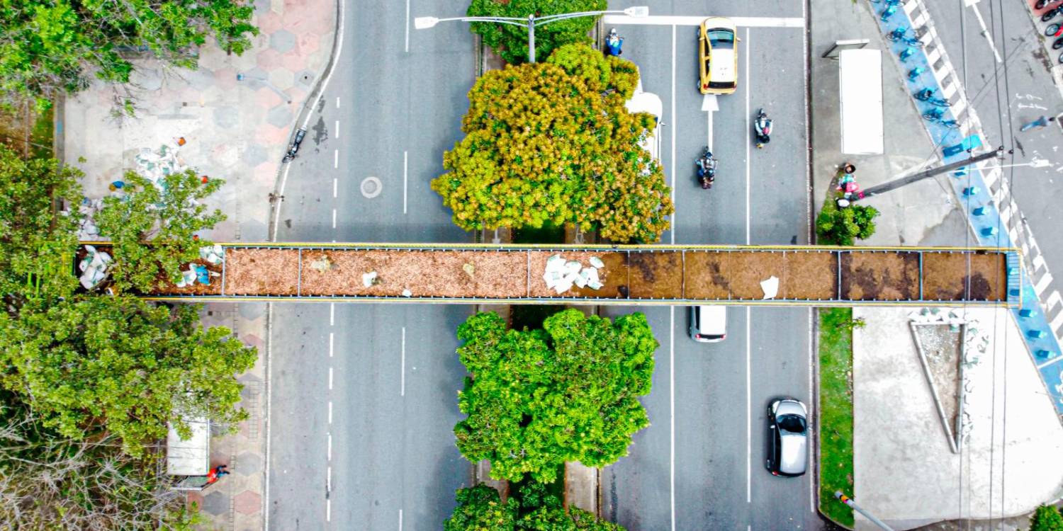 EN IMÁGENES: Medellín reciclará puentes para convertirlos en hogar de fauna silvestre