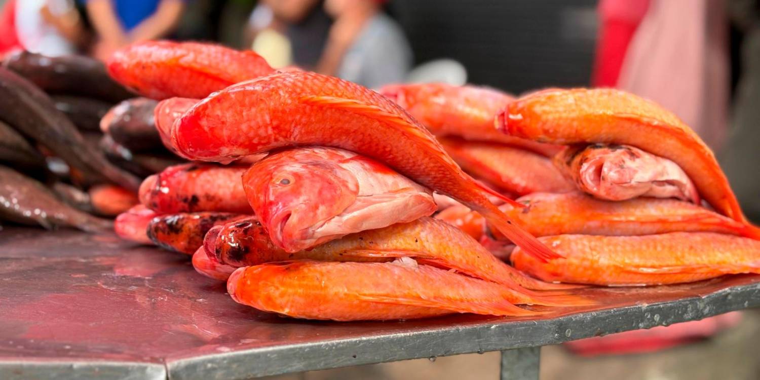 La intervención se realizó en el sector conocido como la calle del pescado. /FOTO: ALCALDÍA DE MEDELLÍN.