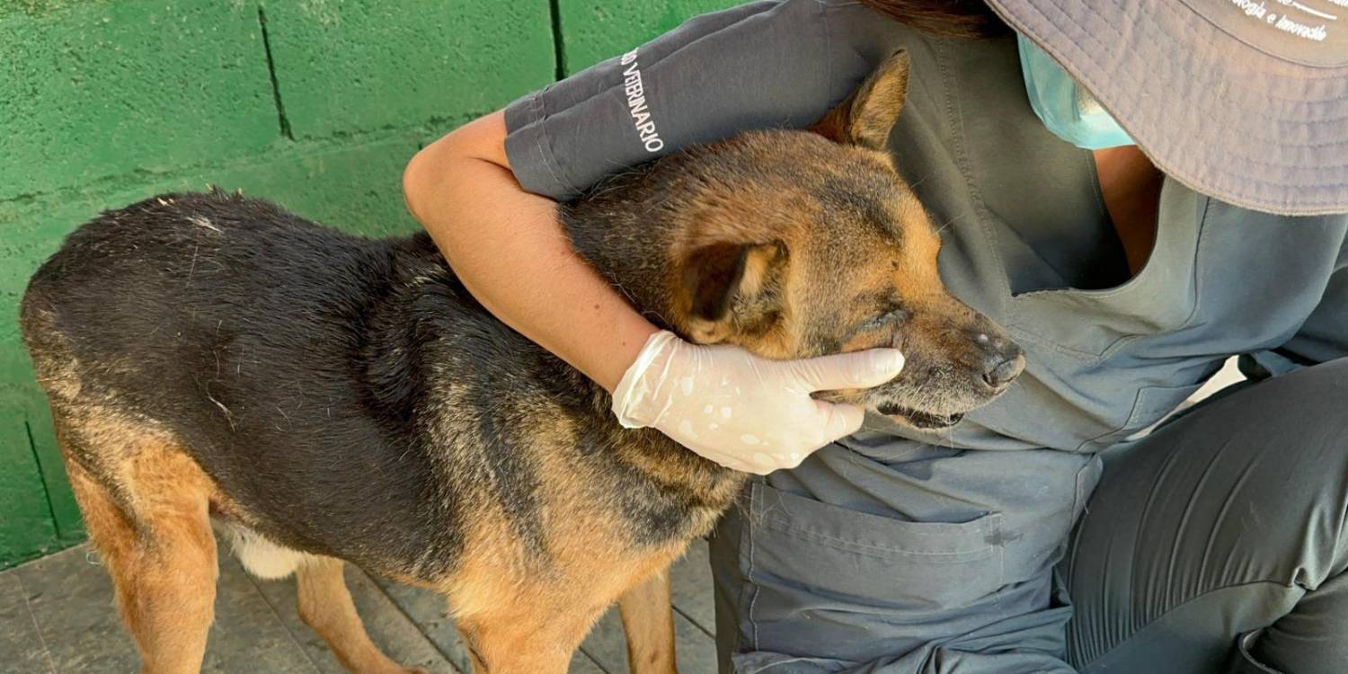 La Perla. <b><span class=mln_small-caps_mln>/ FOTO: ALCALDÍA DE MEDELLÍN</span></b>