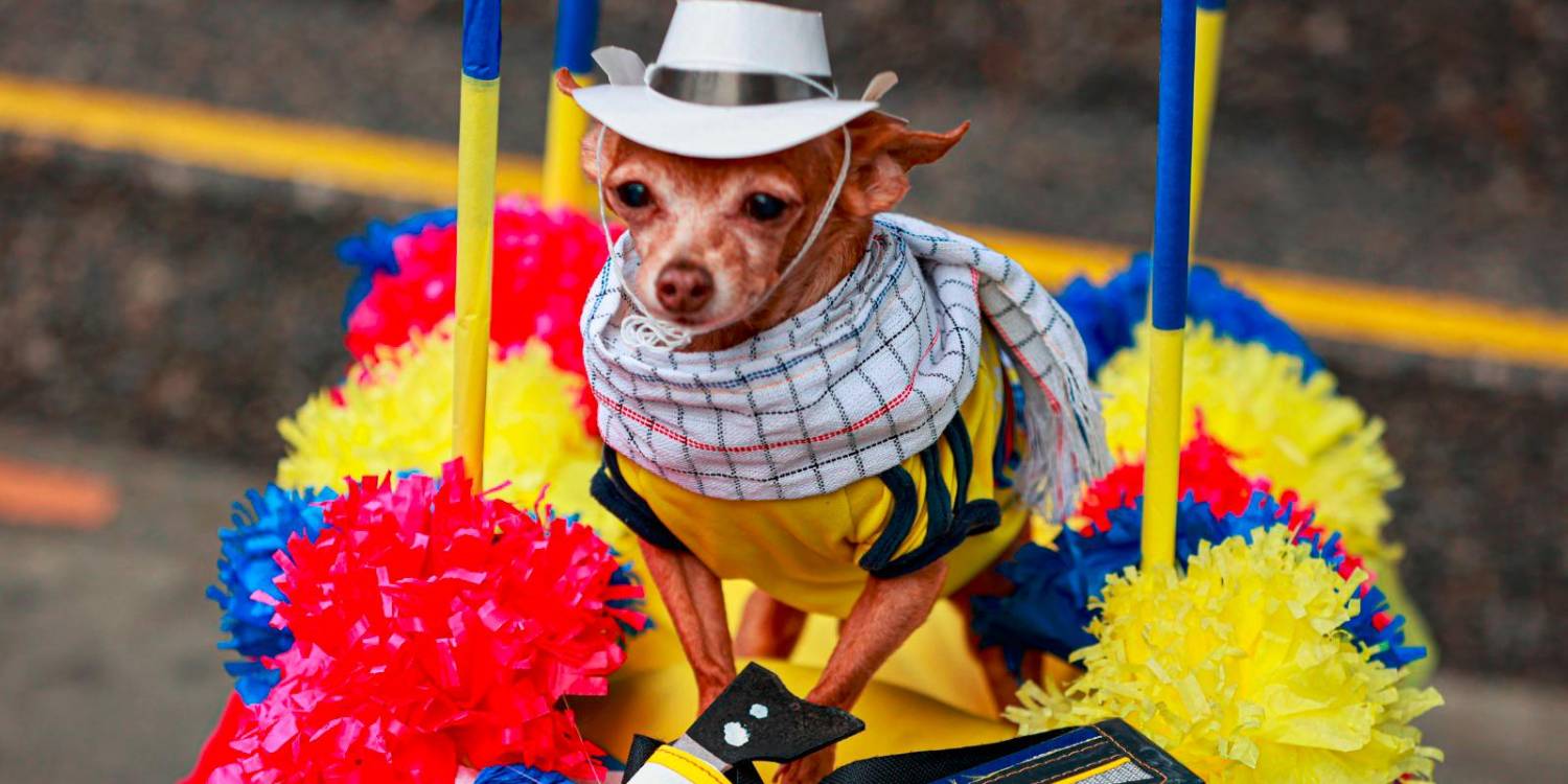 /FOTO: MANUEL SALDARRIAGA