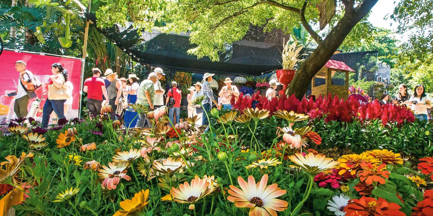 ¡La propia agenda! Parches gratis o económicos pa que se goce la Feria de las Flores