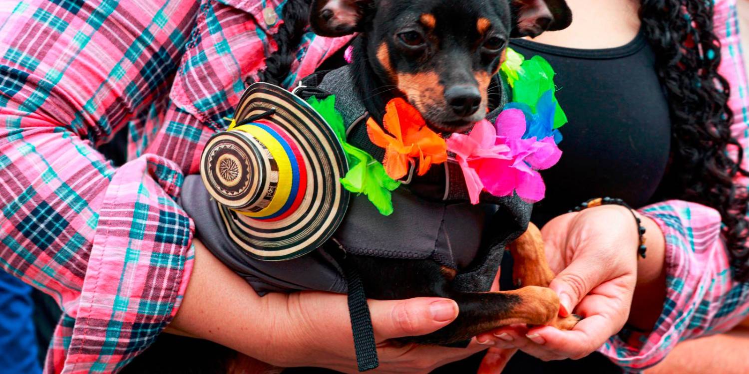 /FOTO: MANUEL SALDARRIAGA