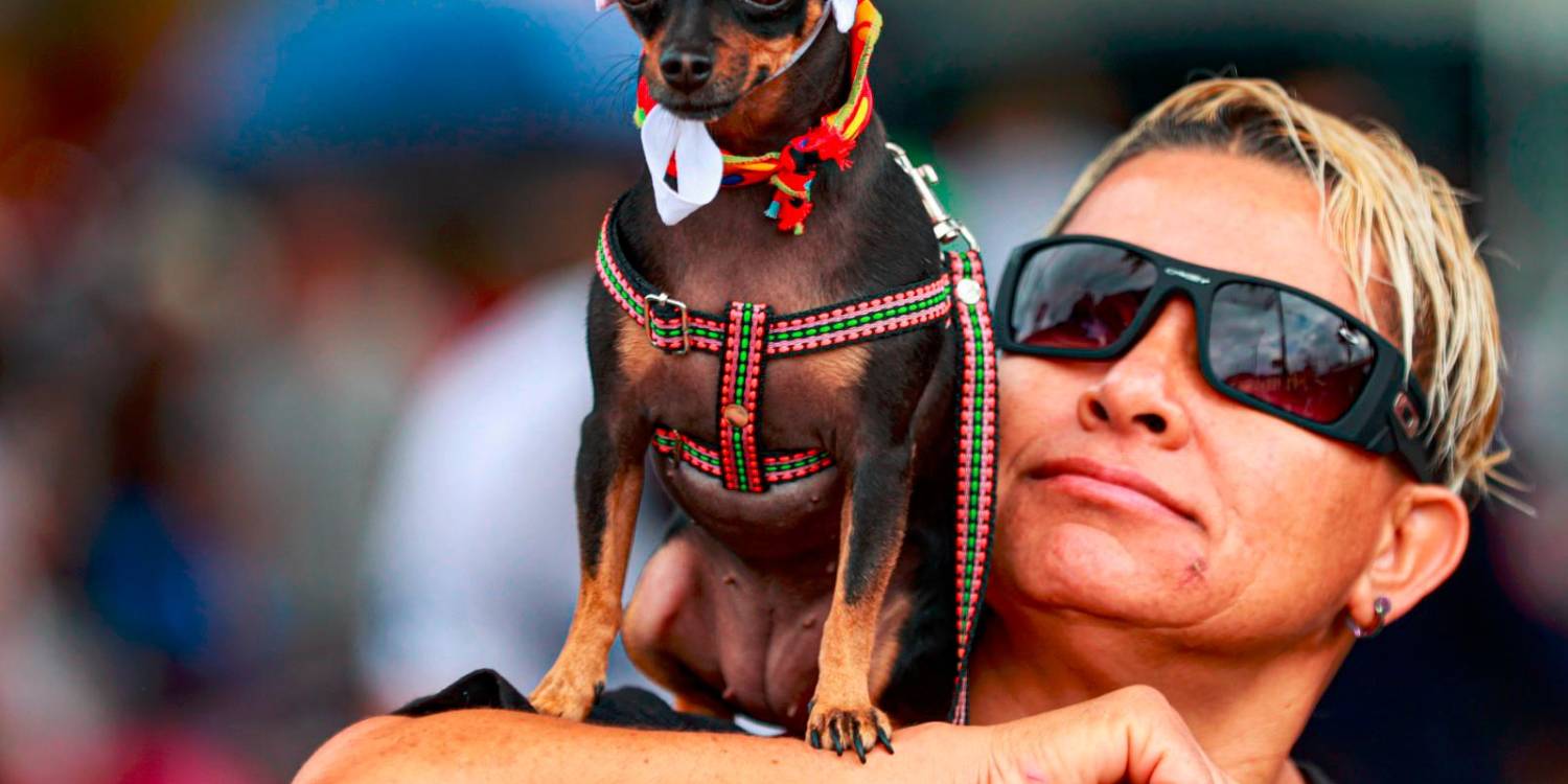 /FOTO: MANUEL SALDARRIAGA