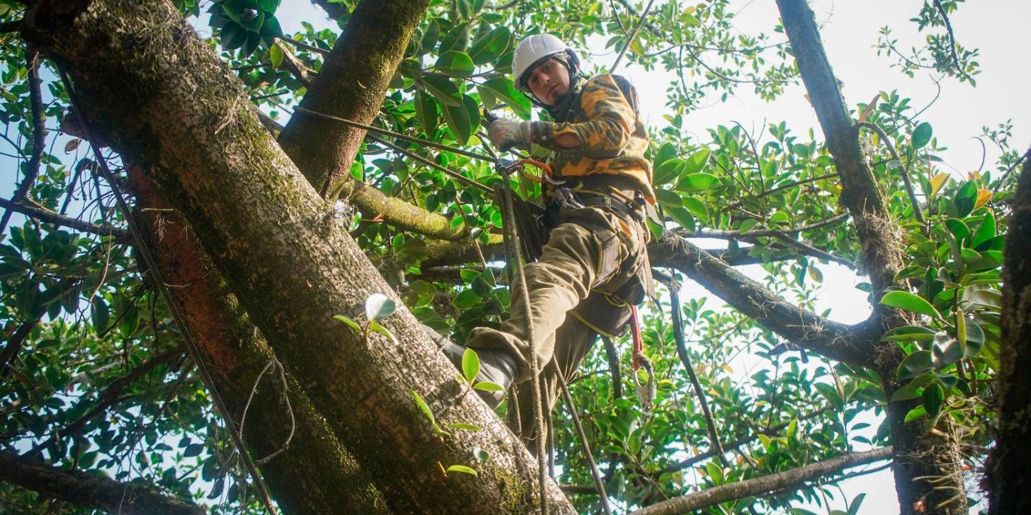 / FOTO: CORTESÍA ALCALDÍA DE MEDELLÍN