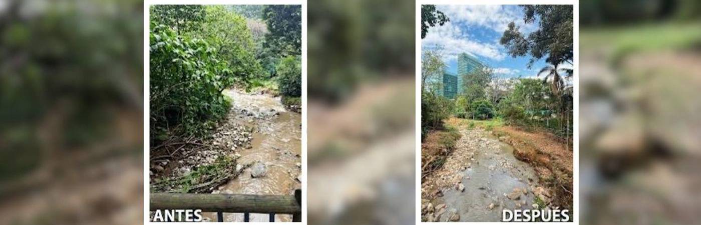 Este es el antes y después de la tala de árboles que habría ocurrido en La Presidenta, en El Poblado. FOTOS: CORTESÍA