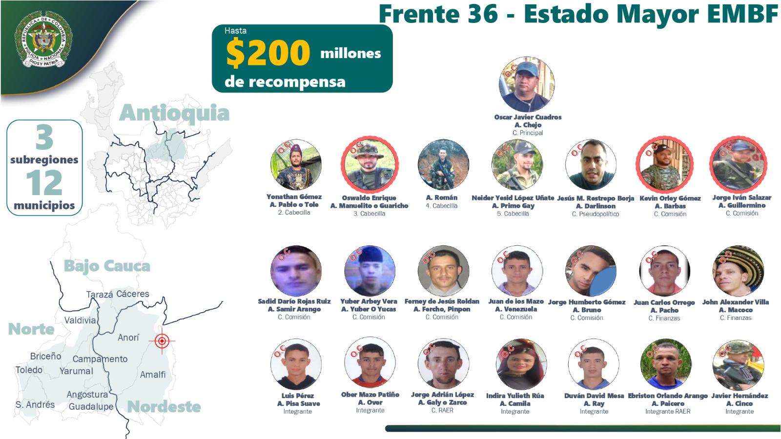 InfogrÃ¡fico