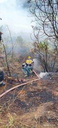 Incendio en el sector de Manantiales, en Granizal. FOTO: CORTESÍA ALCALDÍA DE BELLO