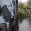 Uno de los techos desprendidos y uno de los árboles caídos en Bello. FOTOS: CAPTURA DE VIDEO DENUNCIAS ANTIOQUIA