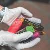 Esta medida busca mostrarles a los jóvenes y adolescentes sobre las graves afecciones que puede generar en la salud, el uso de estos dispositivos electrónicos FOTO: CORTESÍA