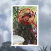 Al fondo, el helicóptero del Ejército; al frente, alias Ñeque y el vehículo incinerado por dron con explosivos. FOTOS: X @LAHORADELAVERDAD Y COLPRENSA